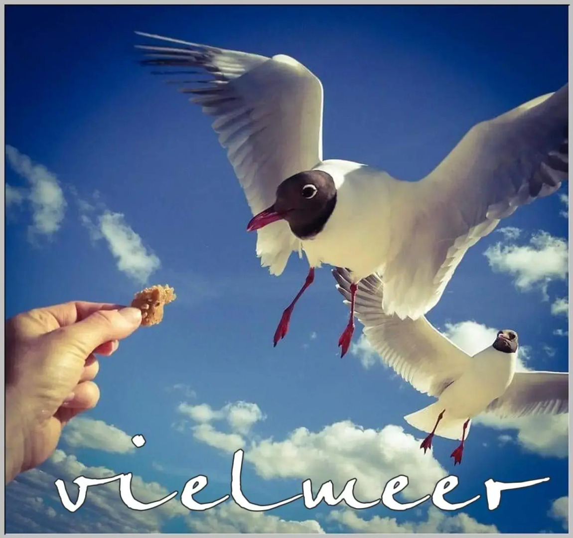 Strandhaus Vielmeer - exklusiv mit Sauna & Kamin direkt am Strand