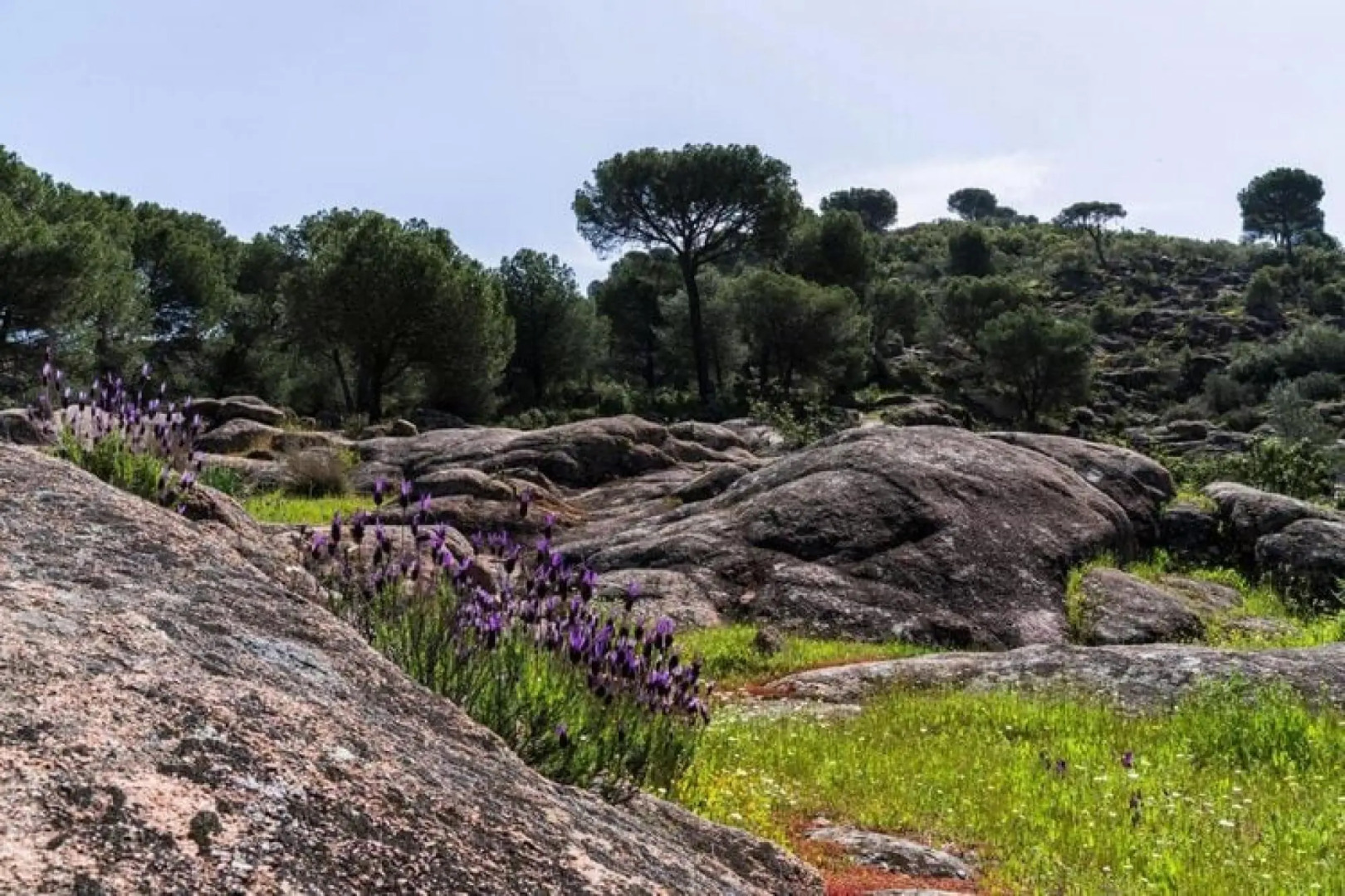 Holiday Home 2, Cordoba