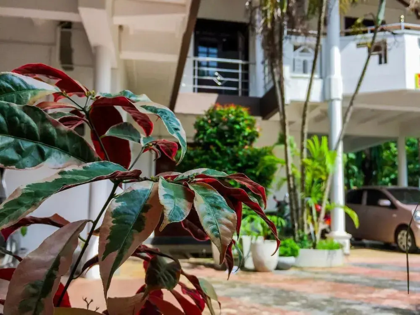 Myr-o Homestay