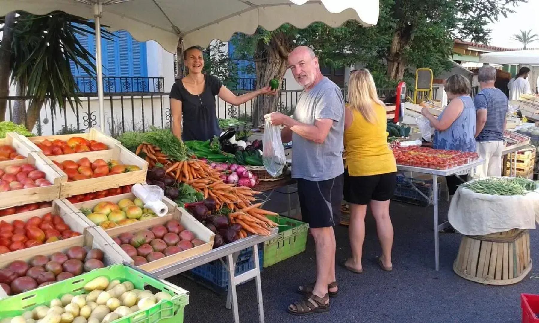 Bungalow With one Bedroom in Elne, With Wonderful Mountain View and Te