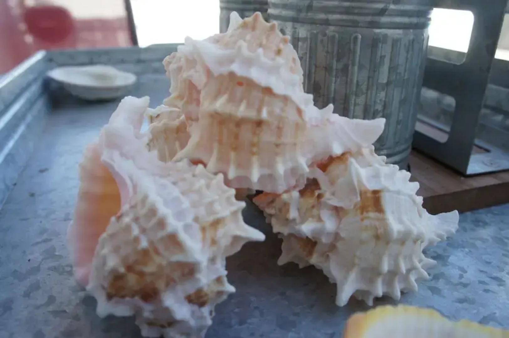 Bahia 176 3 BR by Casago