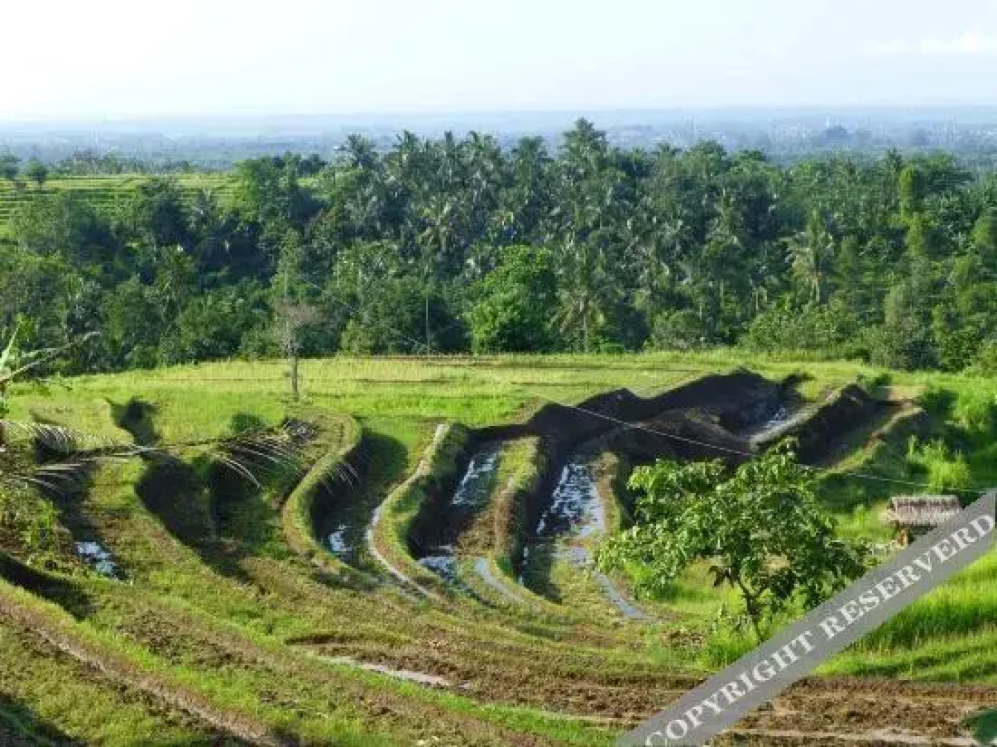 West Bali Villas-Umasari Resort