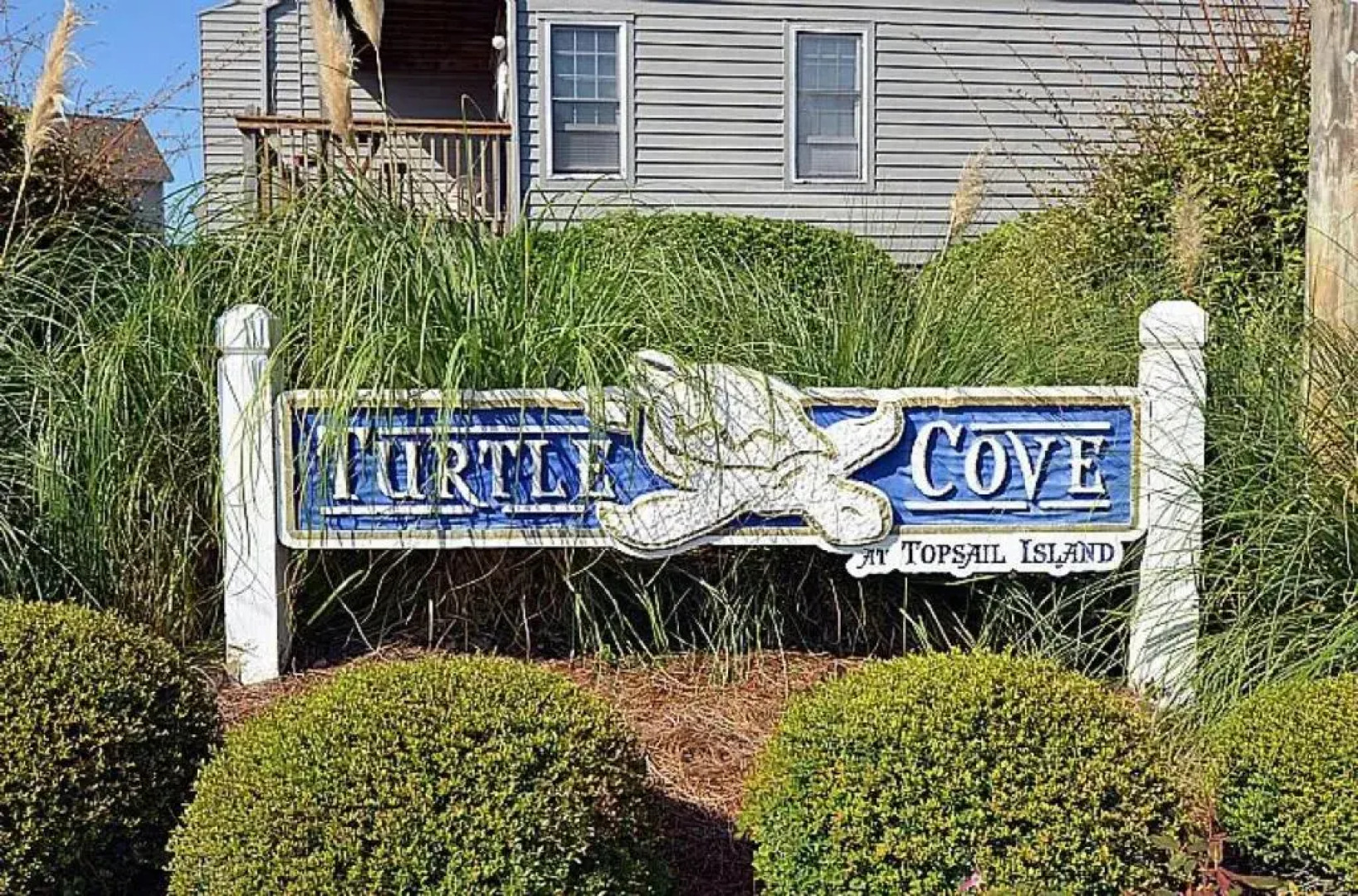 Turtle Cove 223 - C-Notes