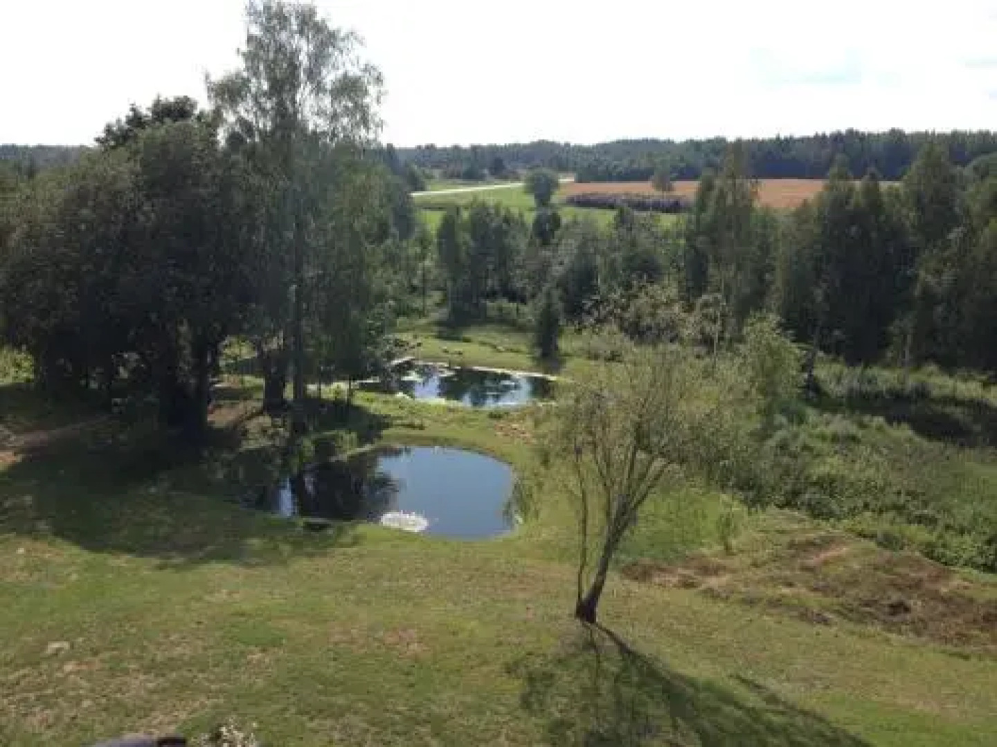 Pööni Tavern & Guesthouse