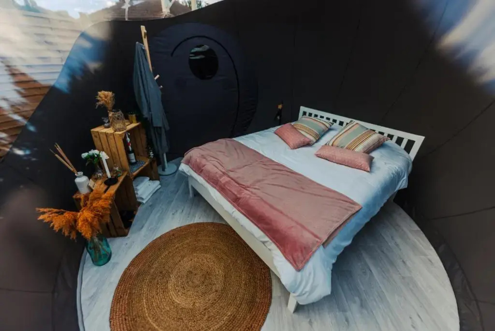 Reves2bulles (Adults Only)