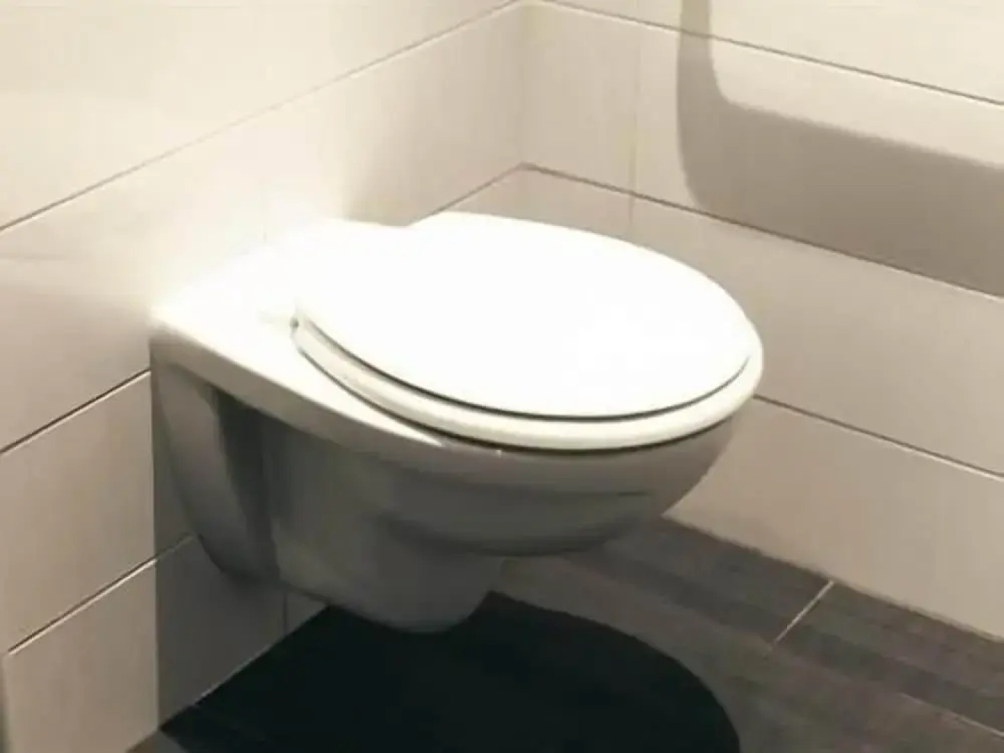 Hôtel Restaurant Le Lion dOr