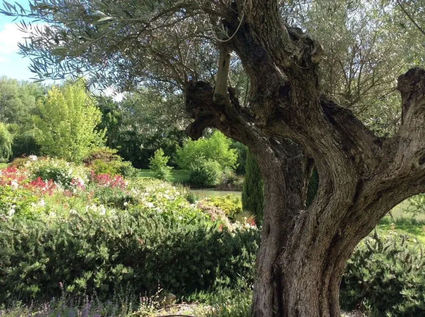 Au Chant des Sorgues