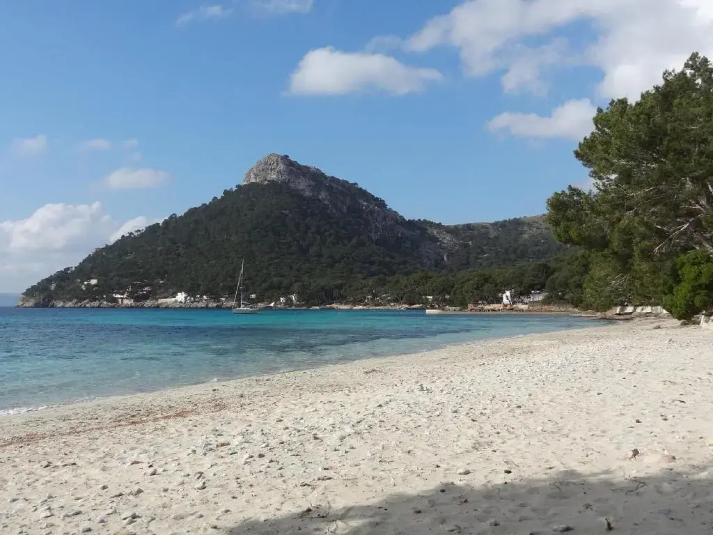 Apartamentos Habitat