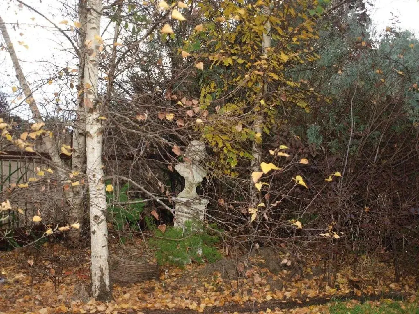 Pierrepoint Bed & Breakfast