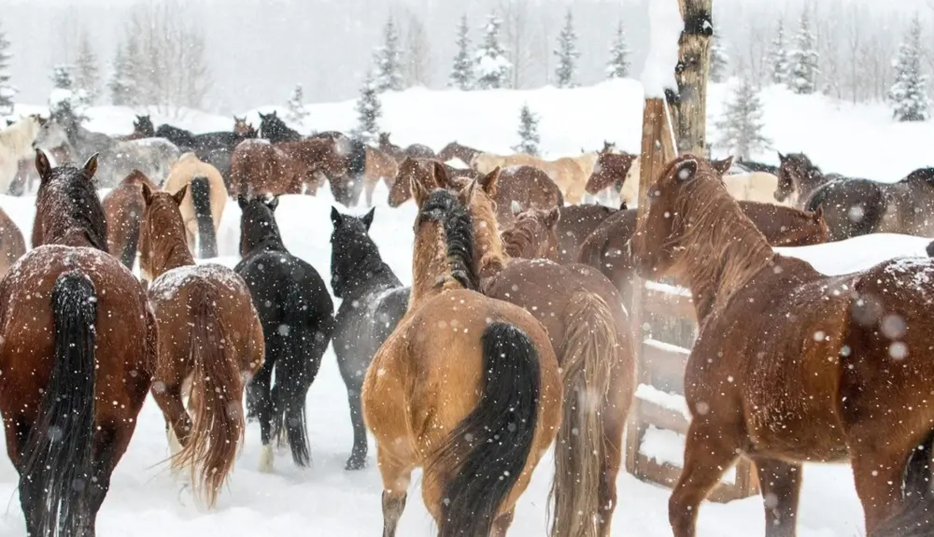 Vista Verde Ranch All-inclusive - Lodge Room