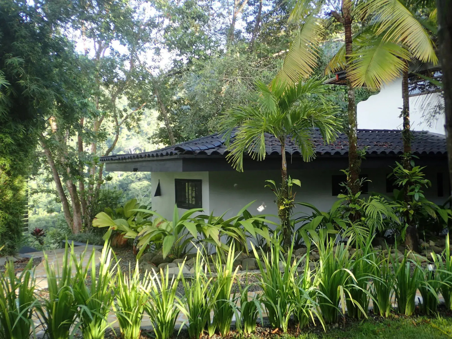 Rancho Pacifico