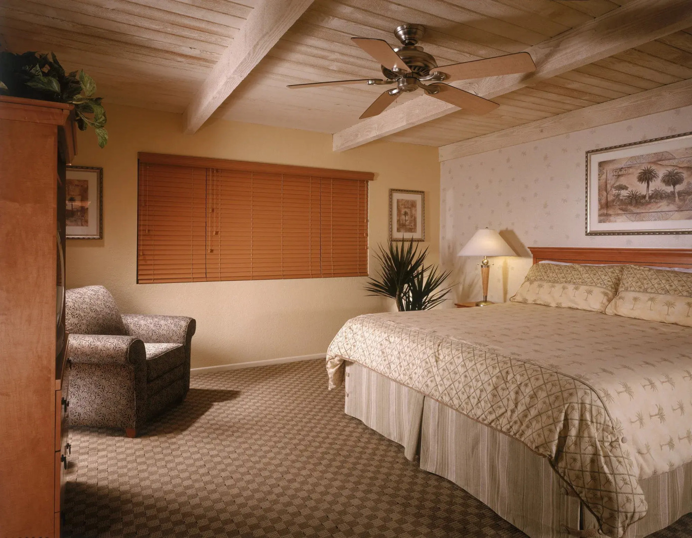 Desert Isle of Palm Springs