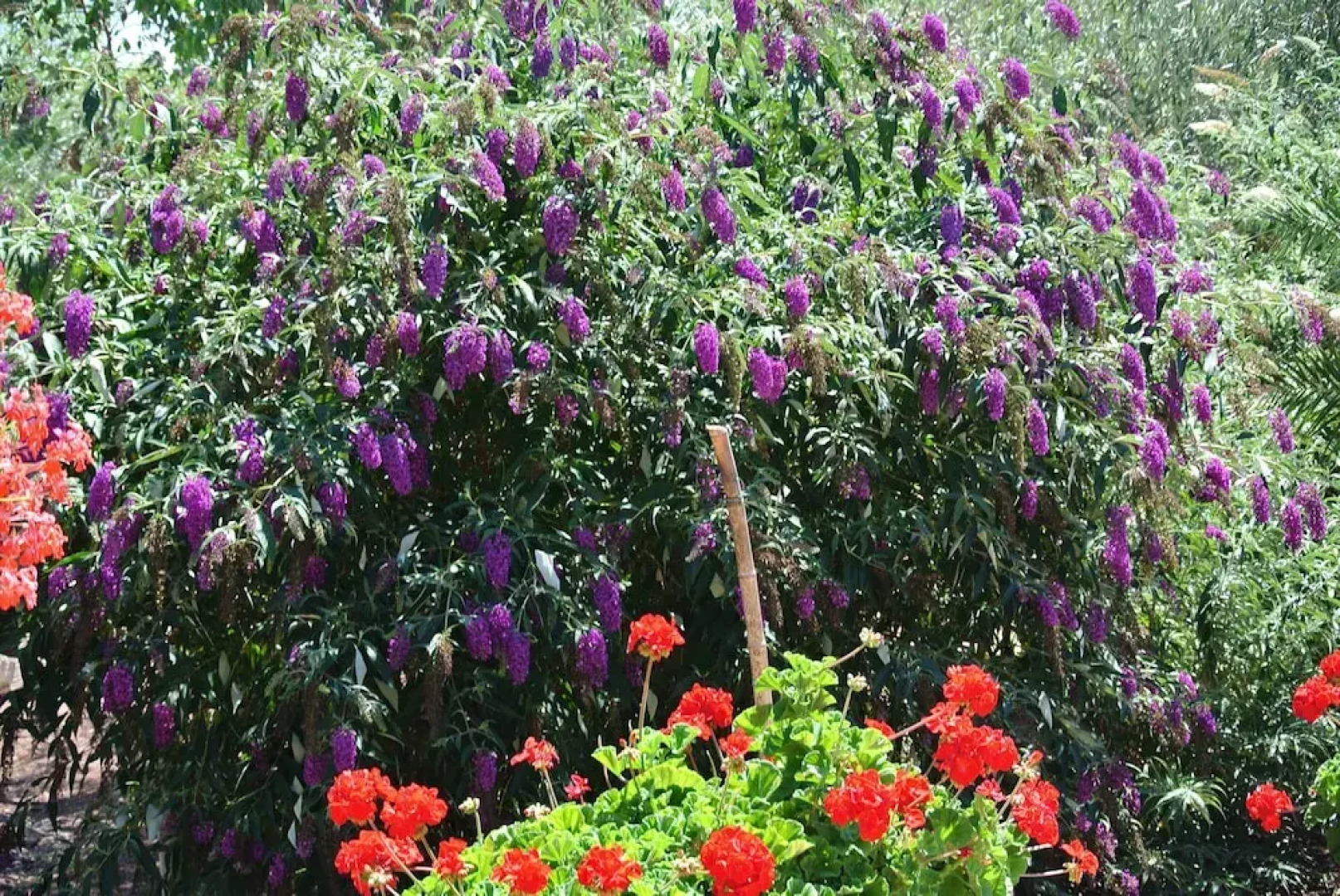 The Gîte Moulin au Viala du Bosc 34700