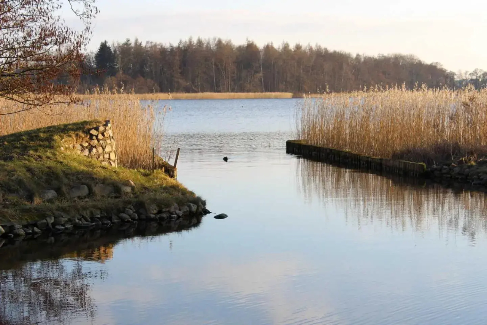 Residenz am Krakower See