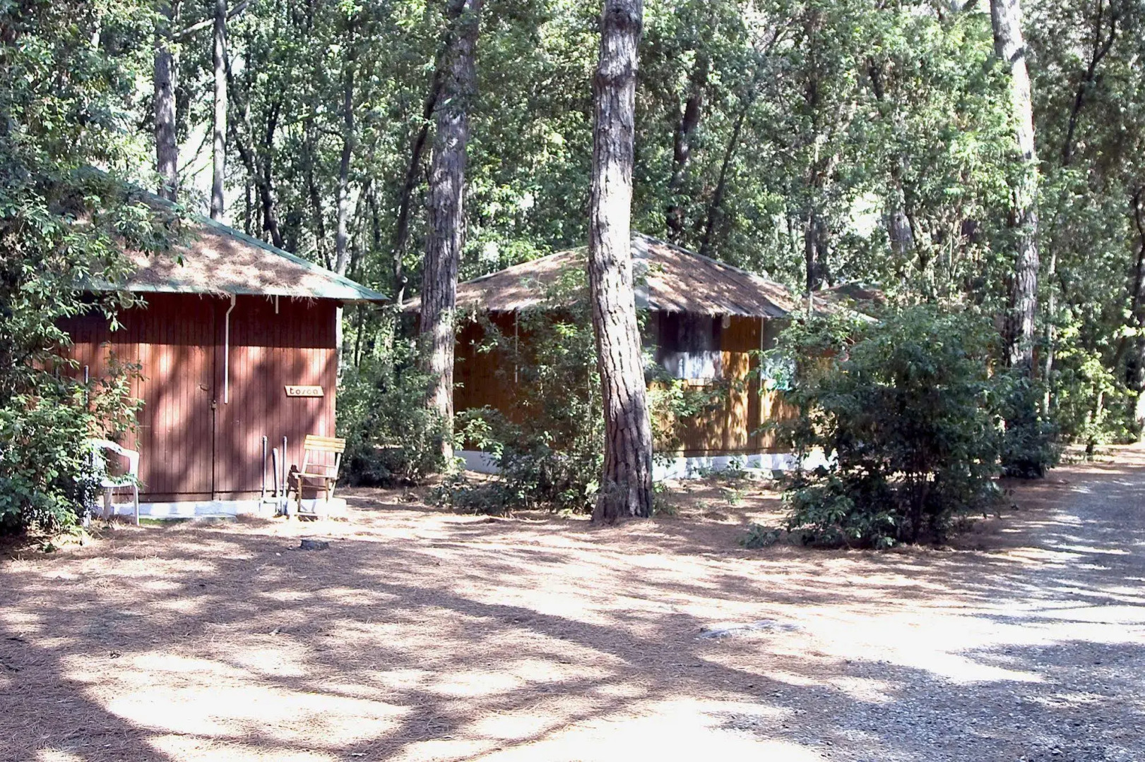 Villaggio Club Cecina