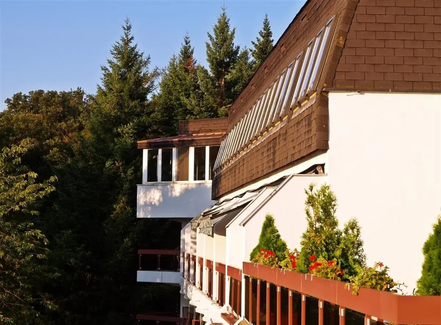 Hotel Lövér Sopron