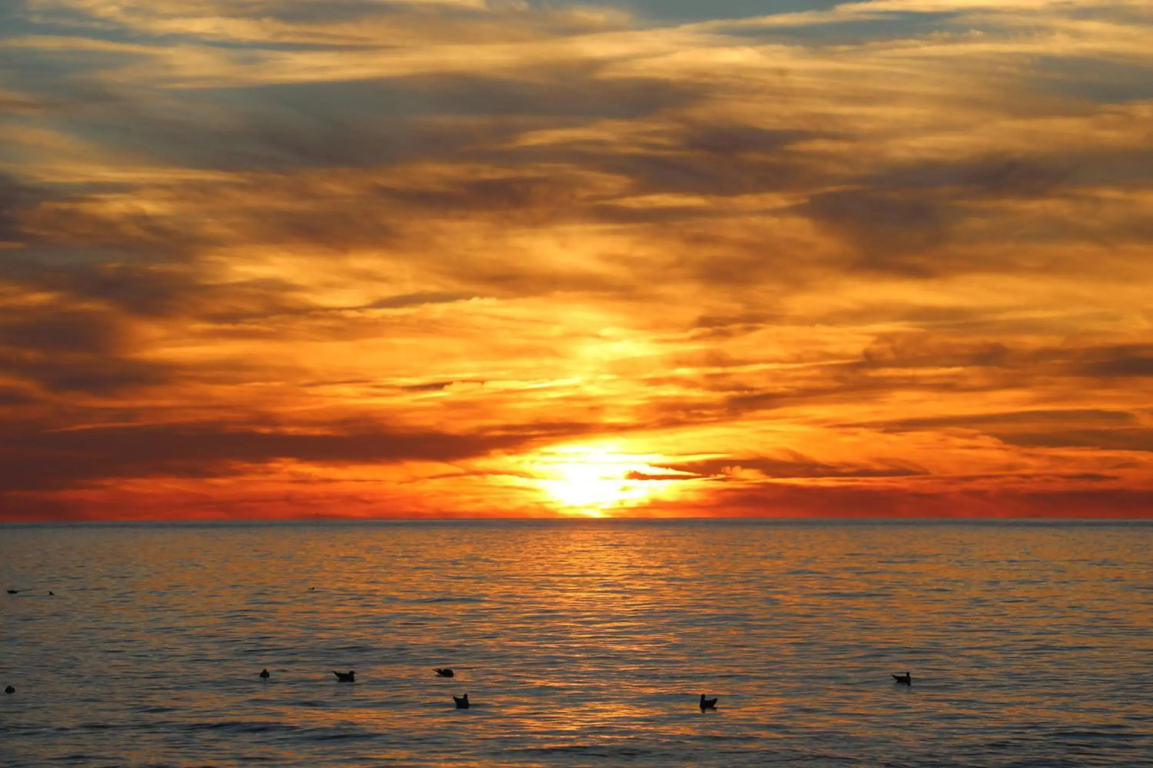 HAVET Hotel Resort & Spa