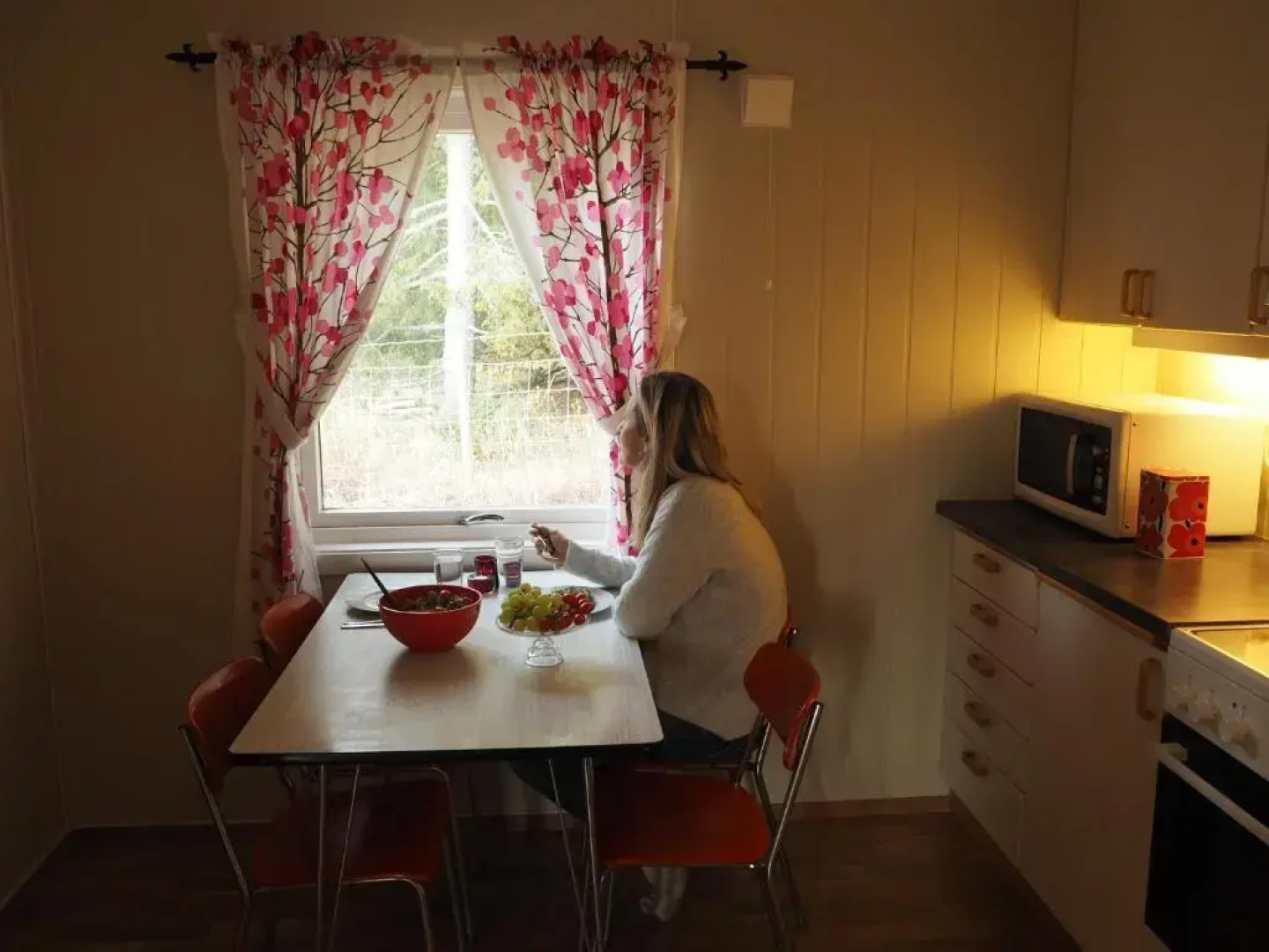 Cabin with great view close to town and ski area