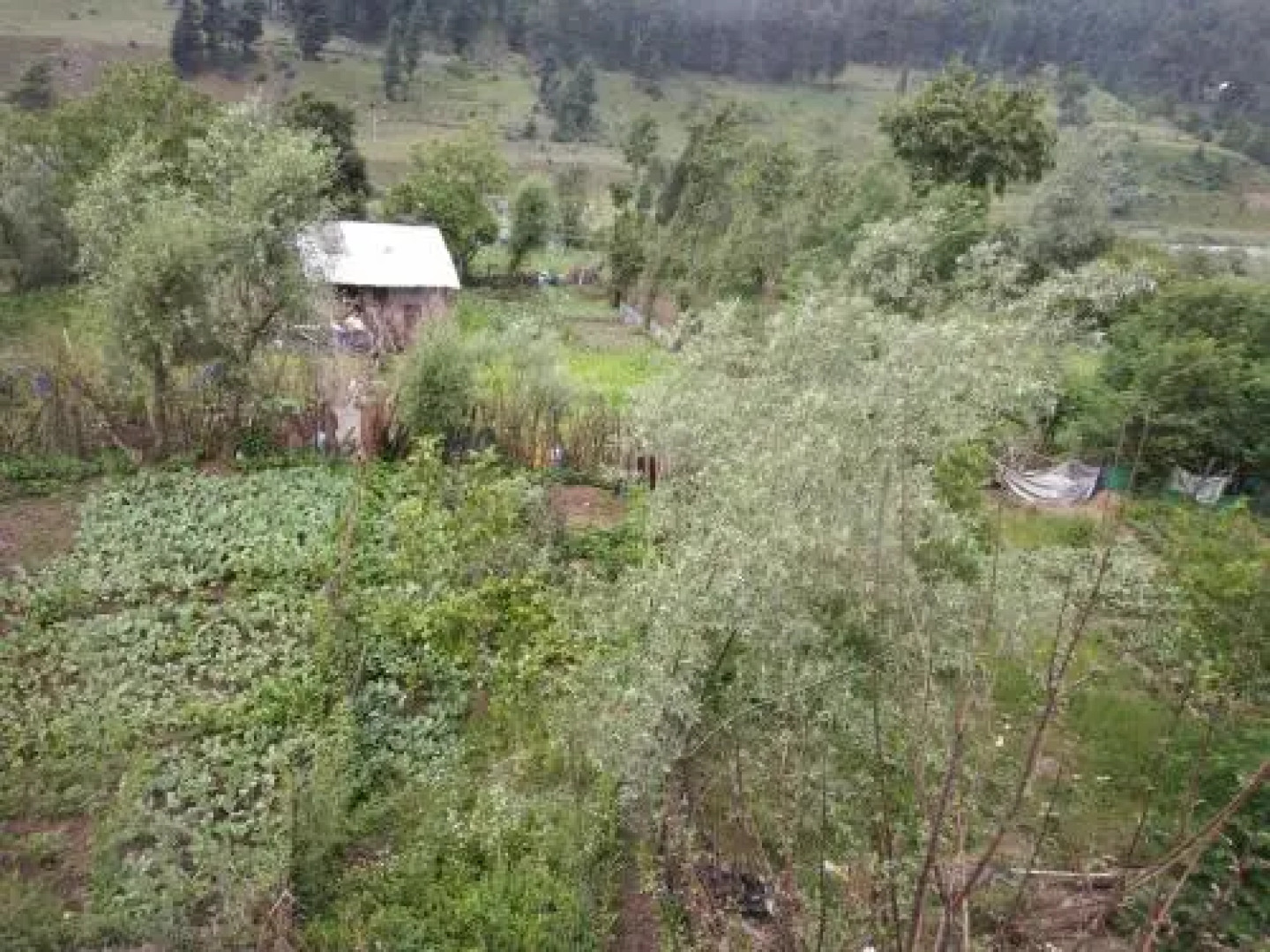 Himalaya Discover Resort