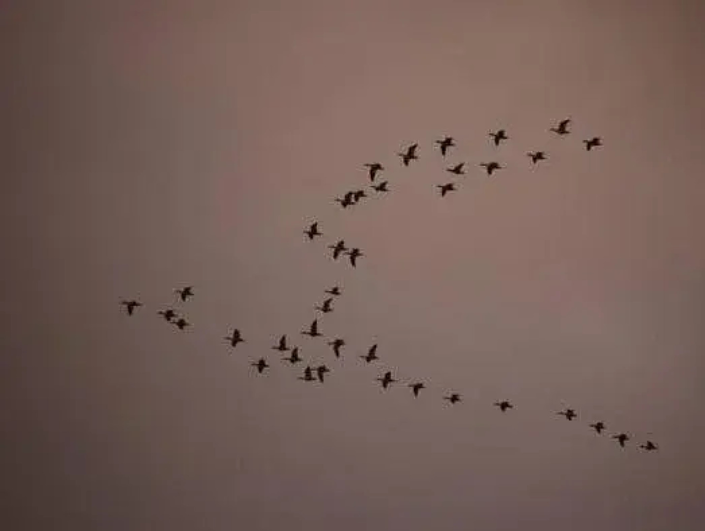 Motel au Soleil Couchant