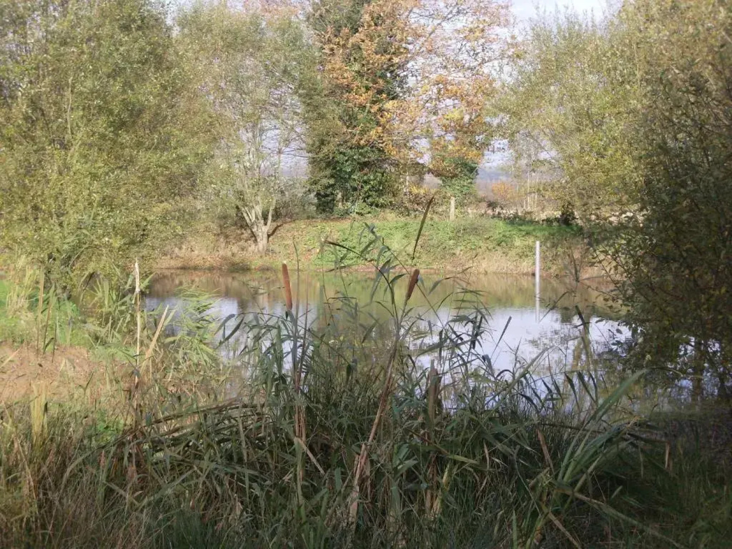 Roulottes des Trolls