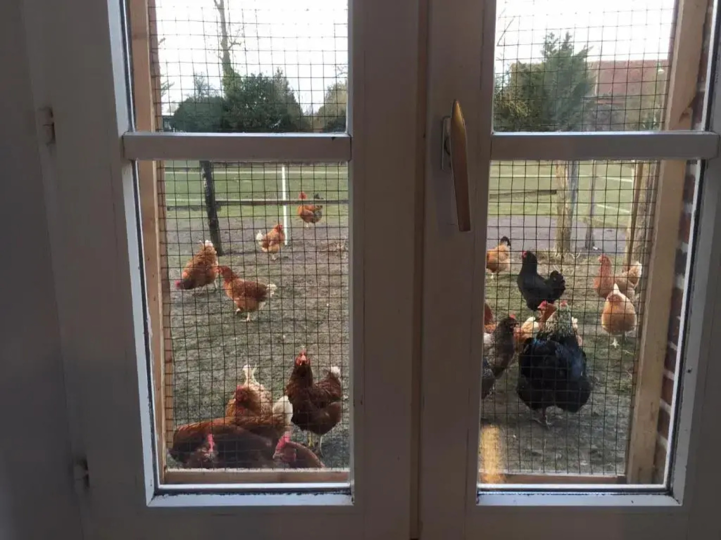 4 Impasse de la Bataillerie