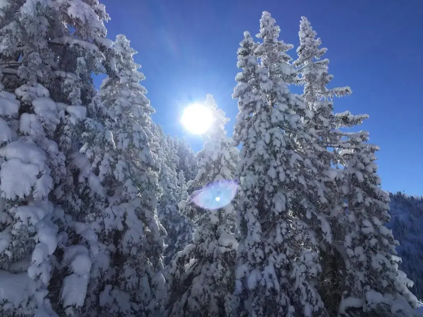 Aparthaus Alpbach Juwel