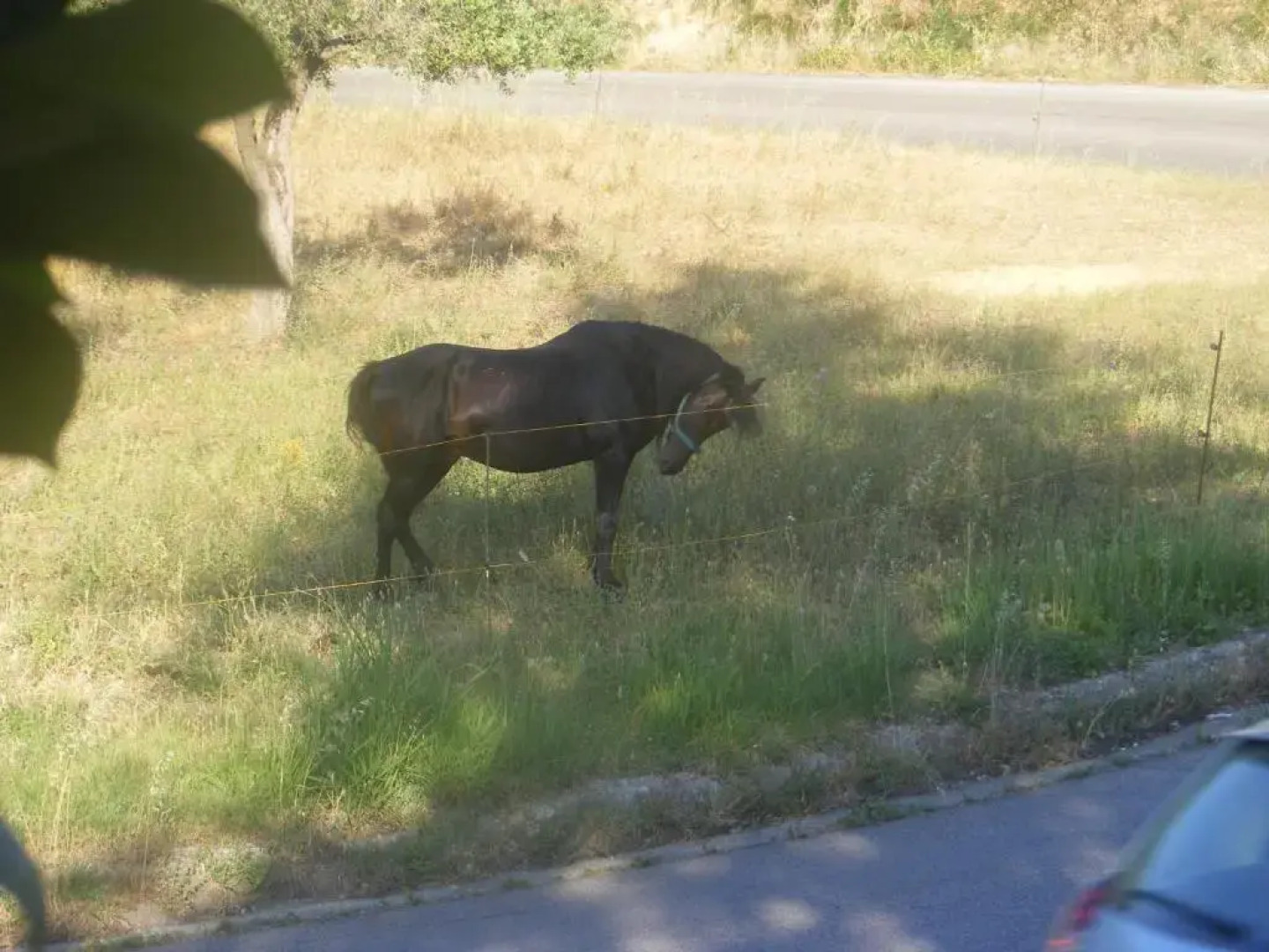 Agriturismo Trivilini