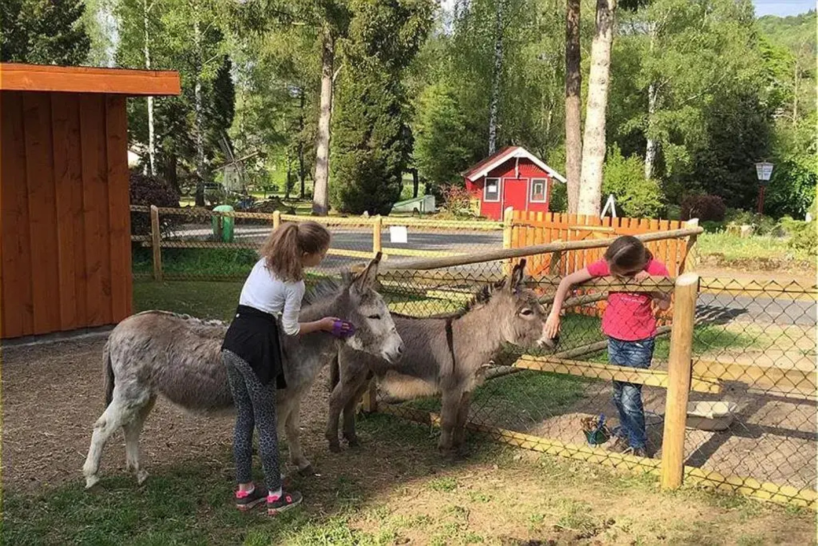 Vulkaneifel Type L-C6