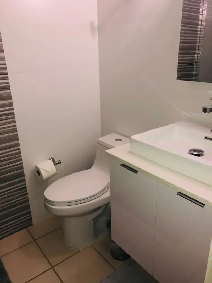 Suburb Pethouse Apartment