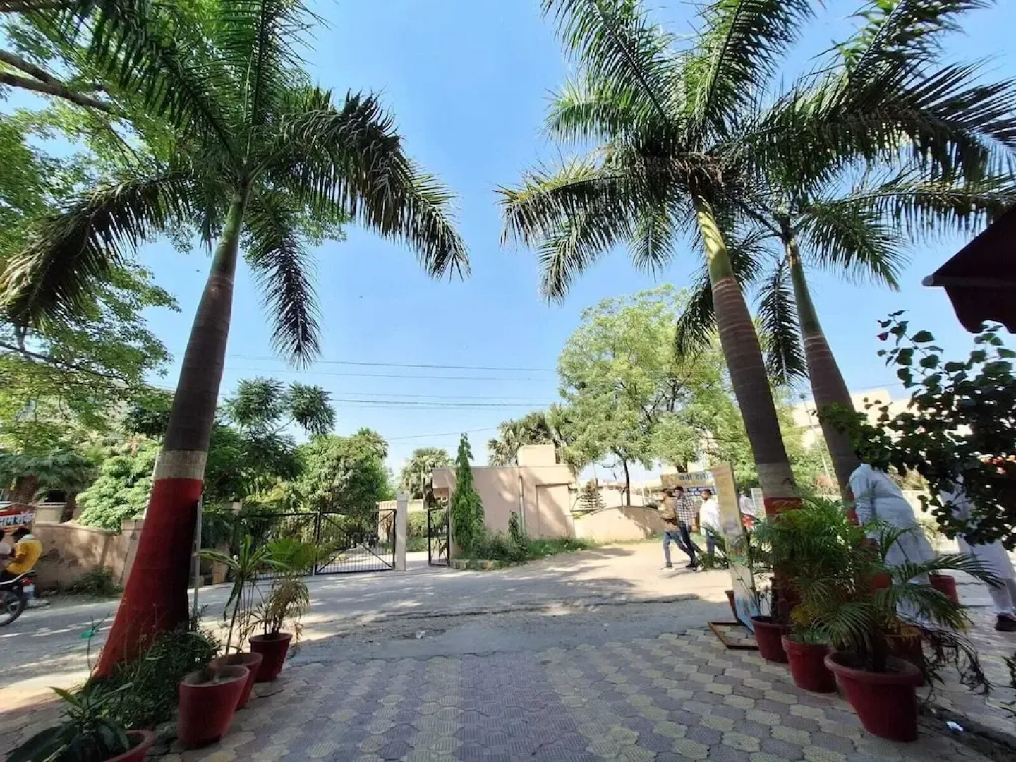 nancy paradise hotel