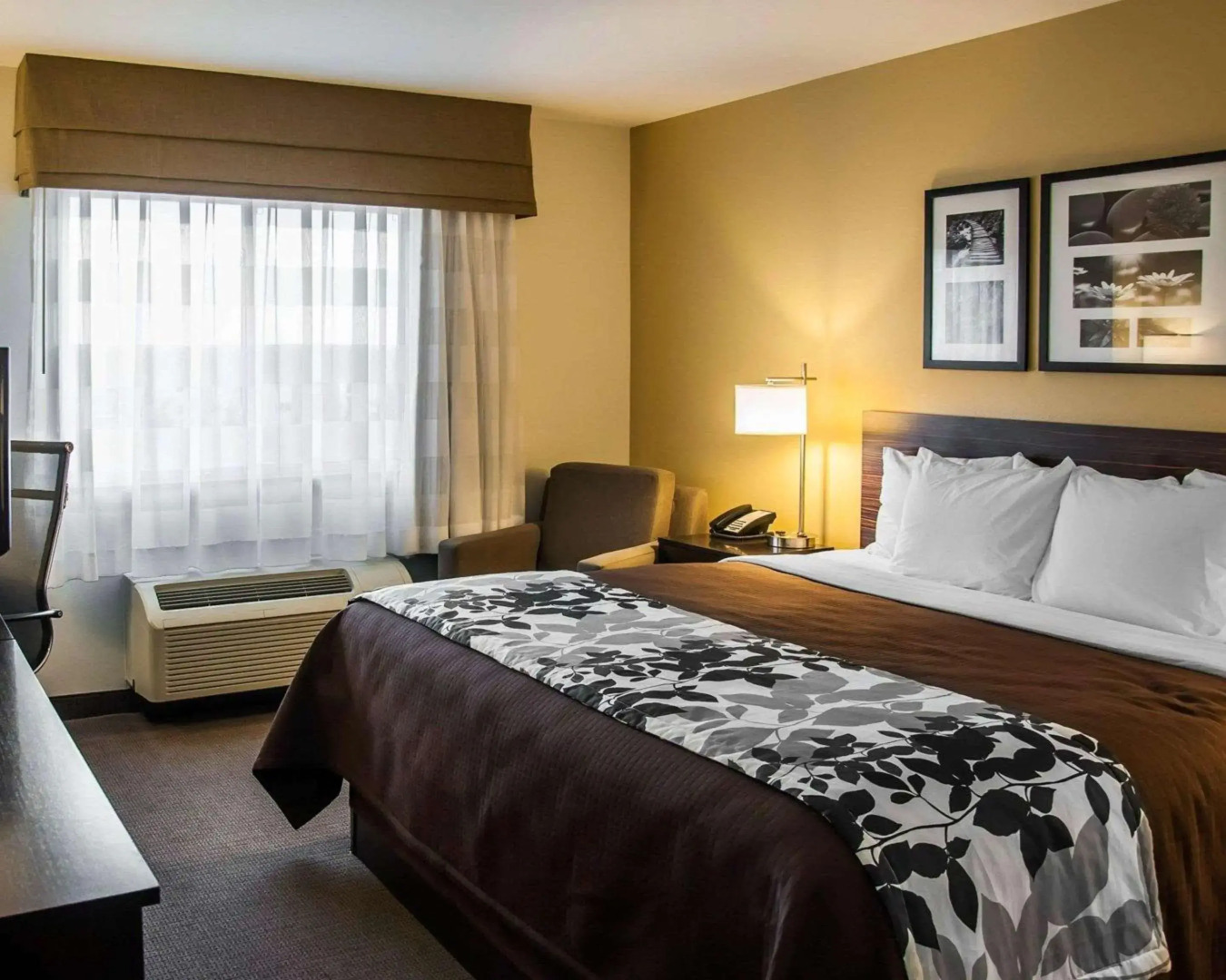 Sleep Inn & Suites Bismarck I-94