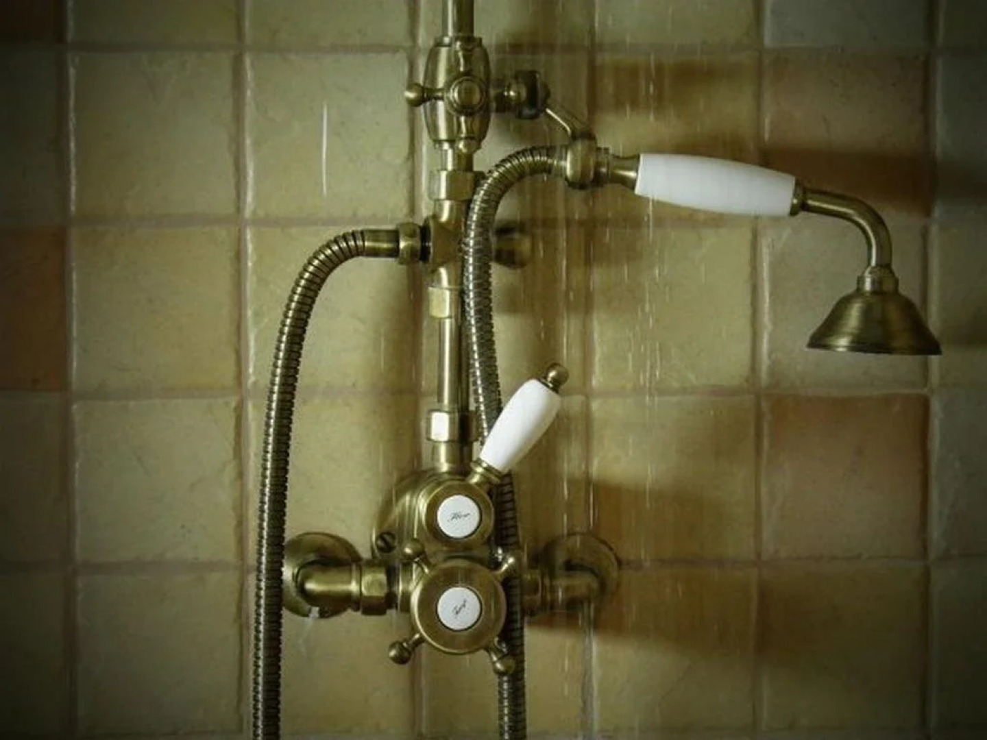 Dvůr Olšiny -Hotel and Horse-riding