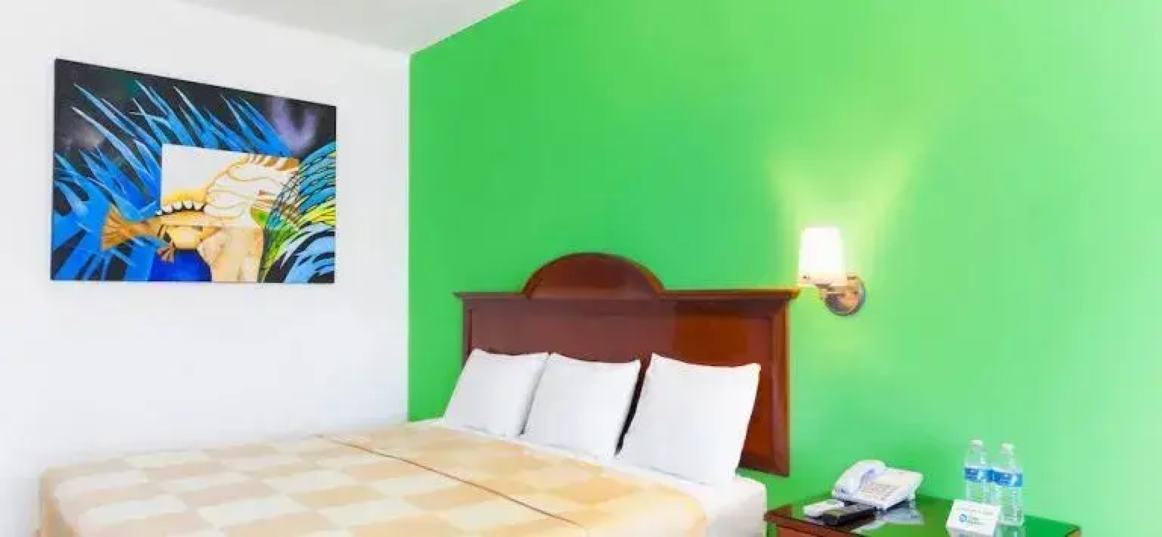 Hotel Costa Maya Inn