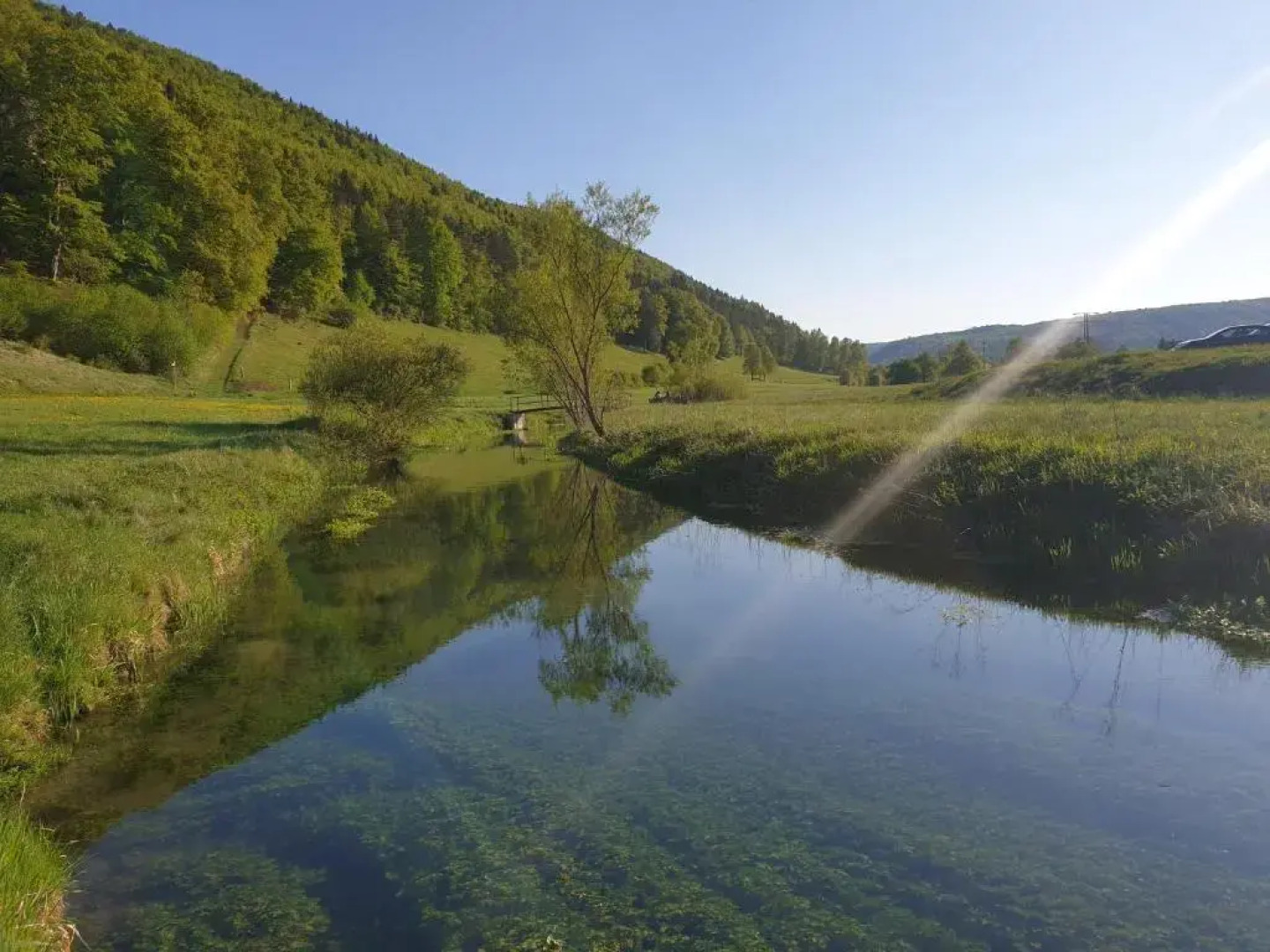 2 Zimmer Apartment im UG Schelklingen Biosphärenreservat Schwäbische Alb