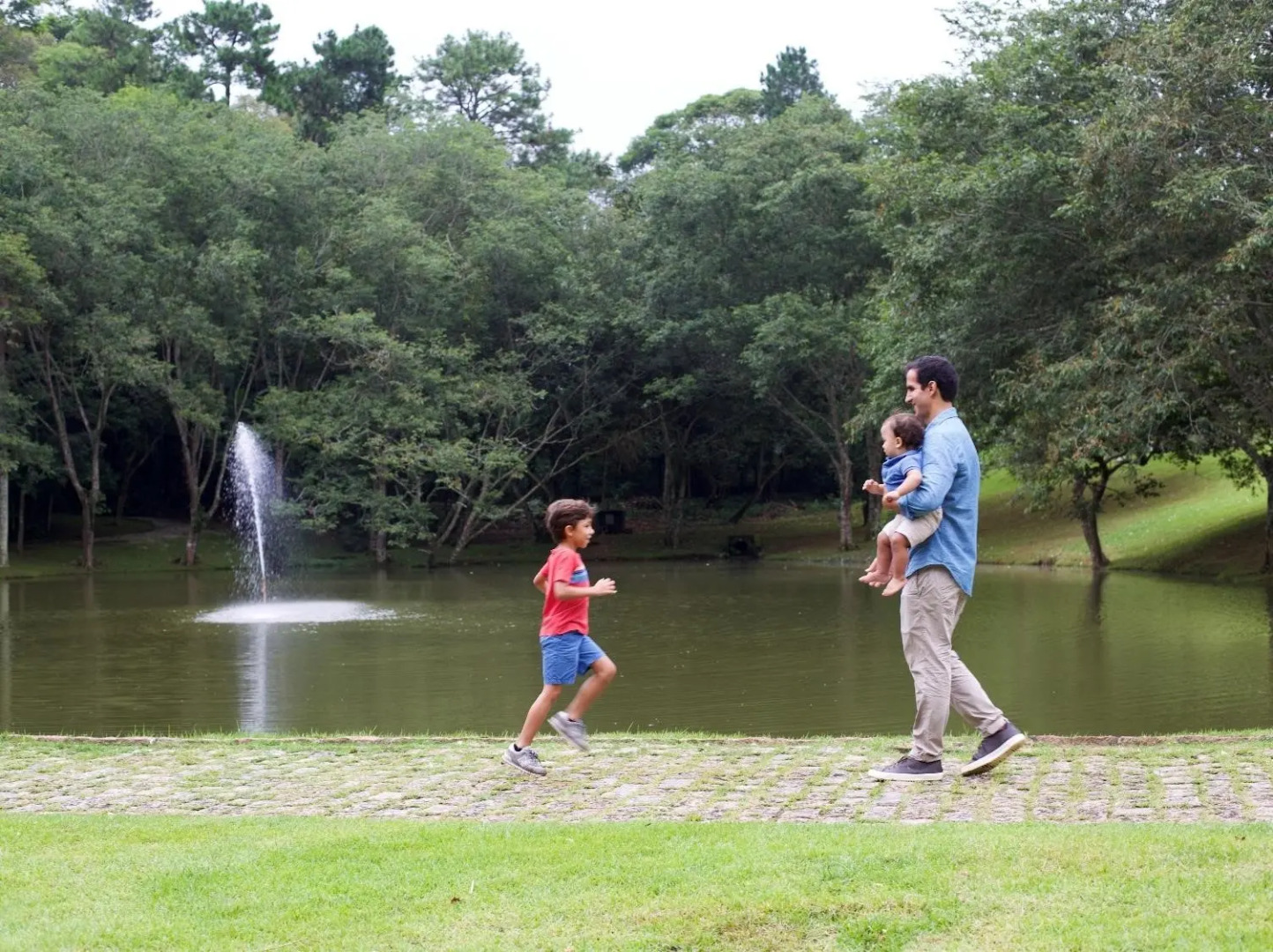 Almenat Embu das Artes, Tapestry Collection by Hilton