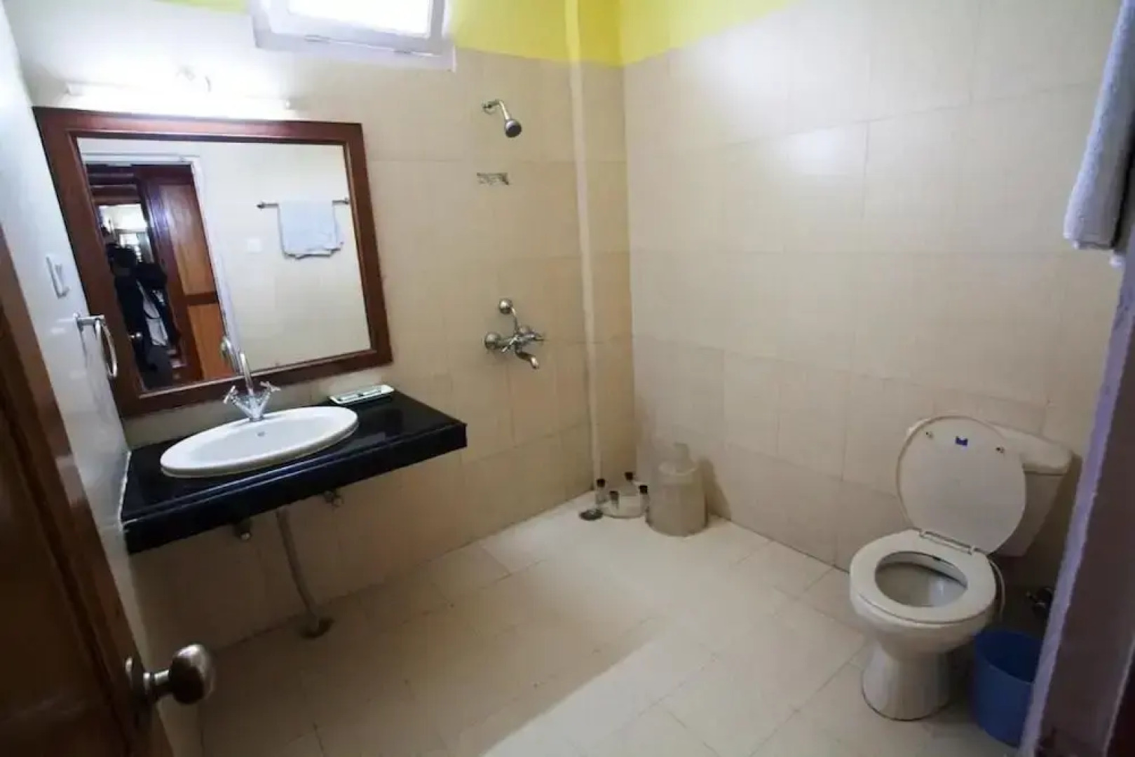 Little Mastiff - Dharamshala