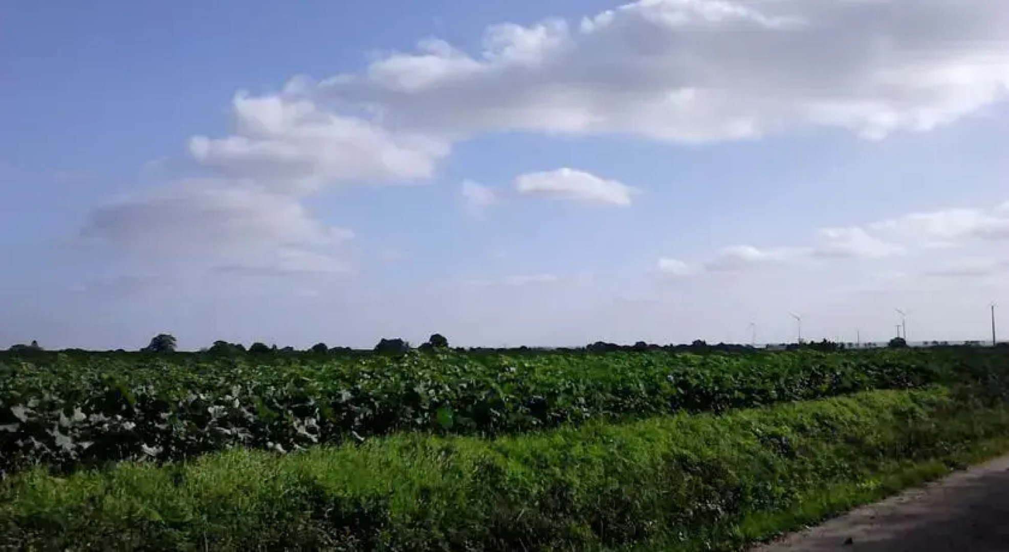 La Poule aux Oeufs Dort