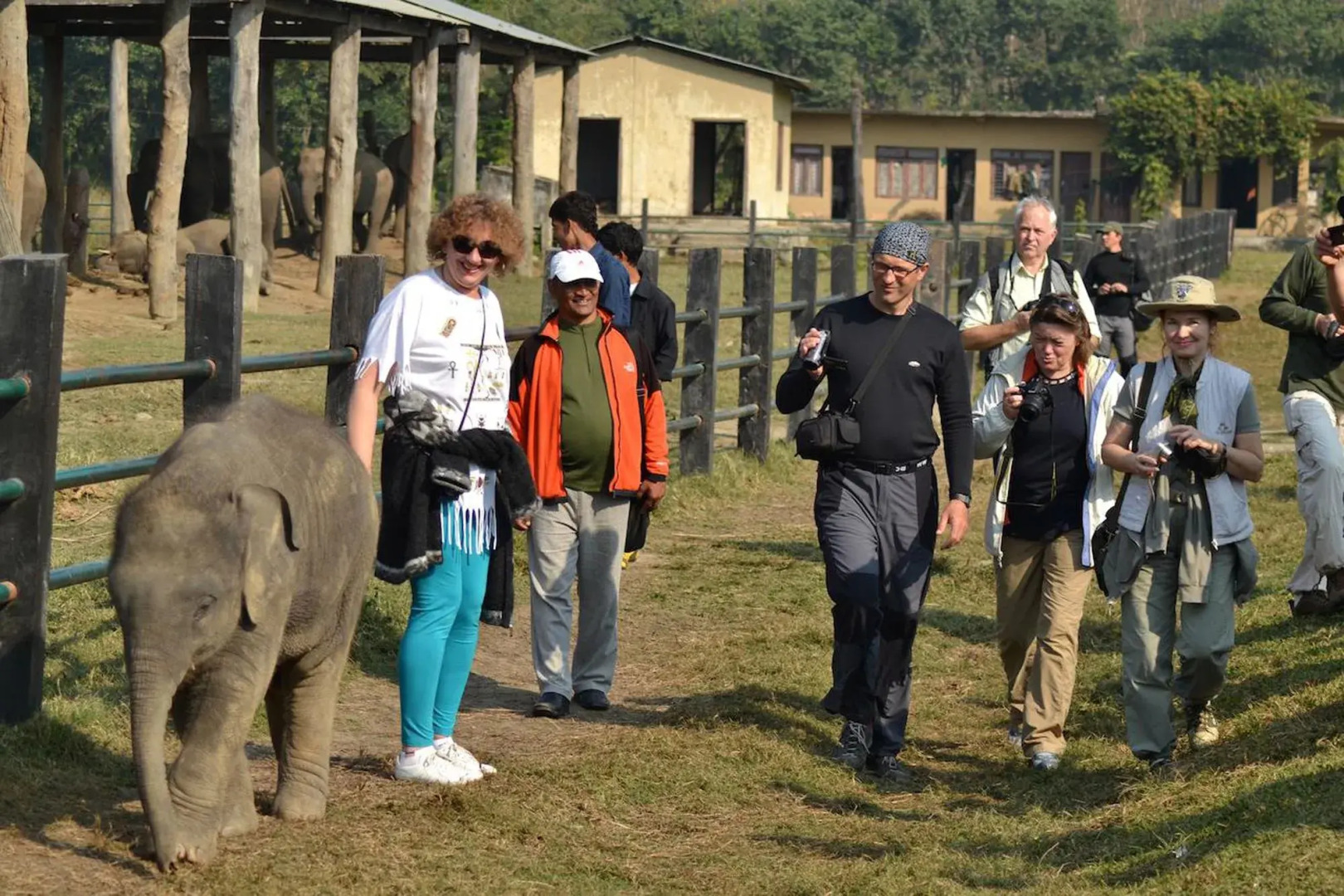 Traveller Jungle Camp