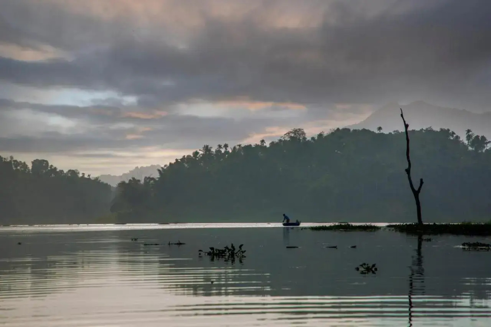 Misty Morning Resort