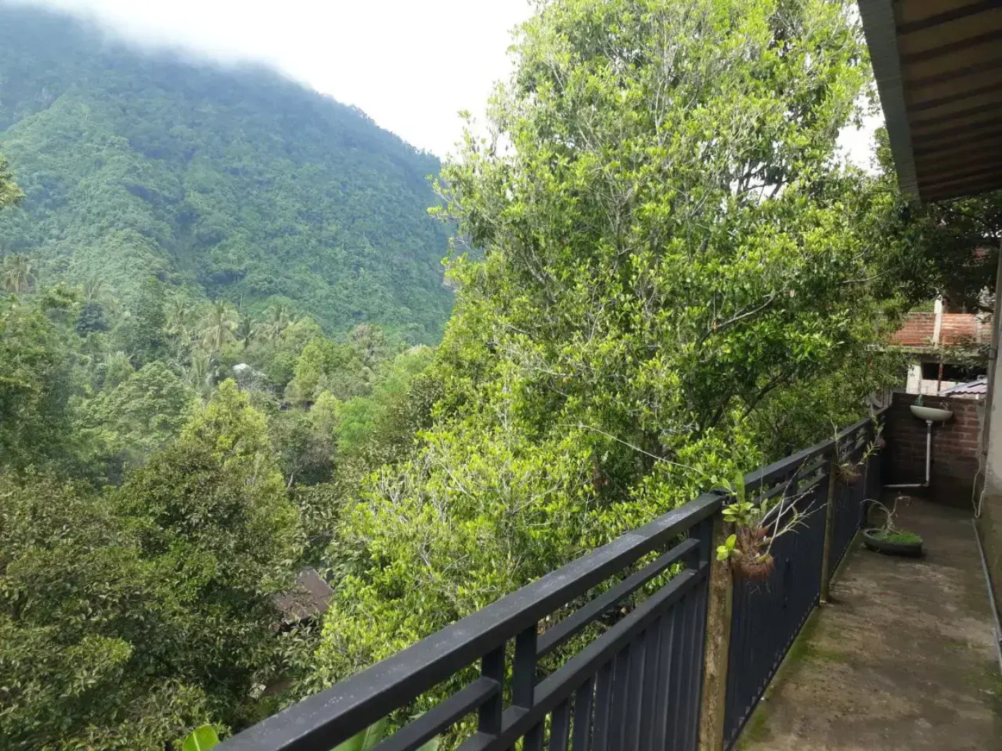 Sugi Gede Homestay