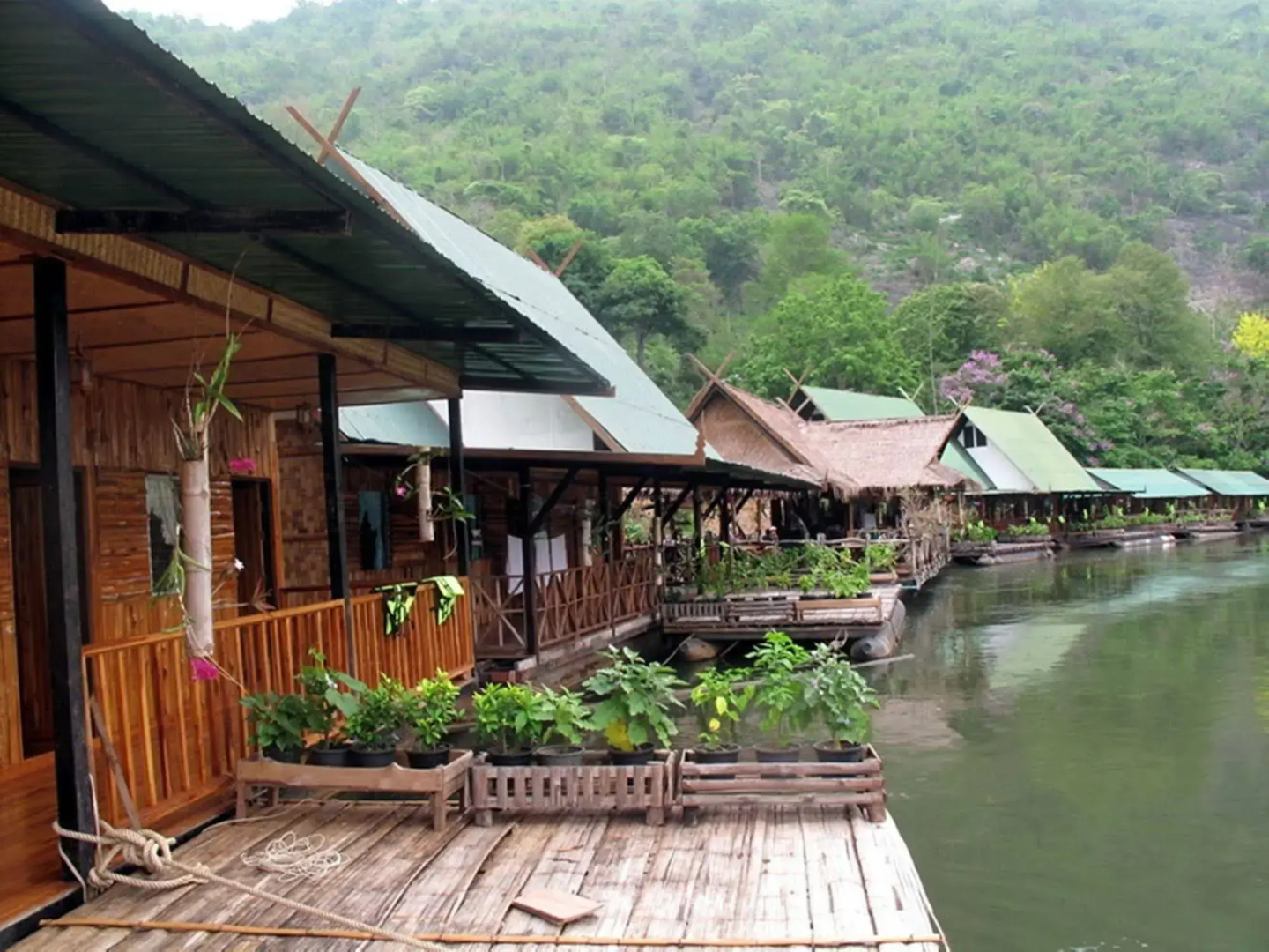 River Kwai Jungle view