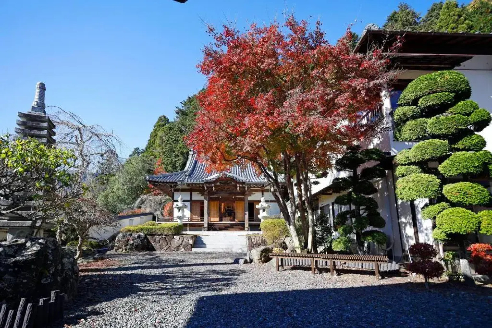 Temple Hotel Habanobo