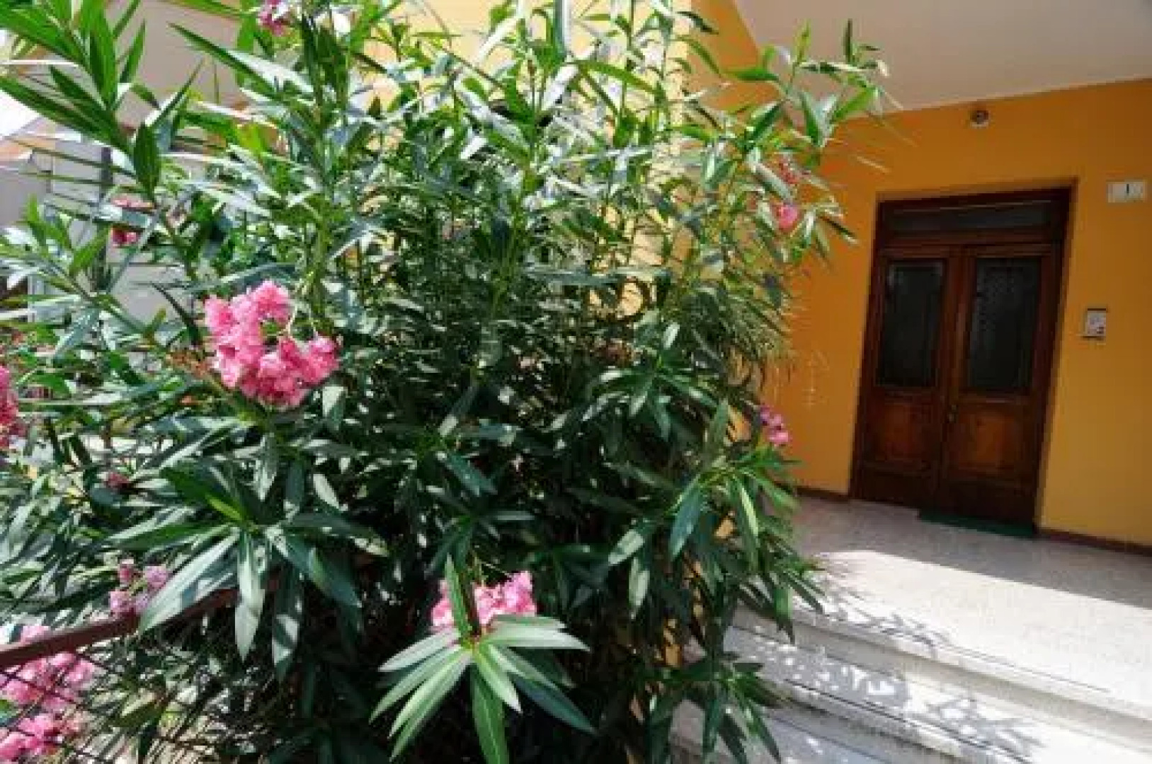 Appartamento Colli & Terme