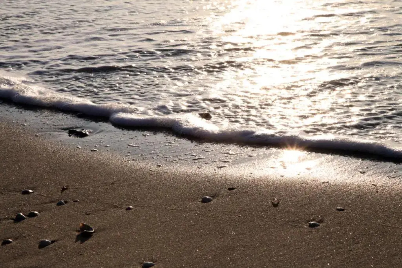 Hampton Home B&B Suite