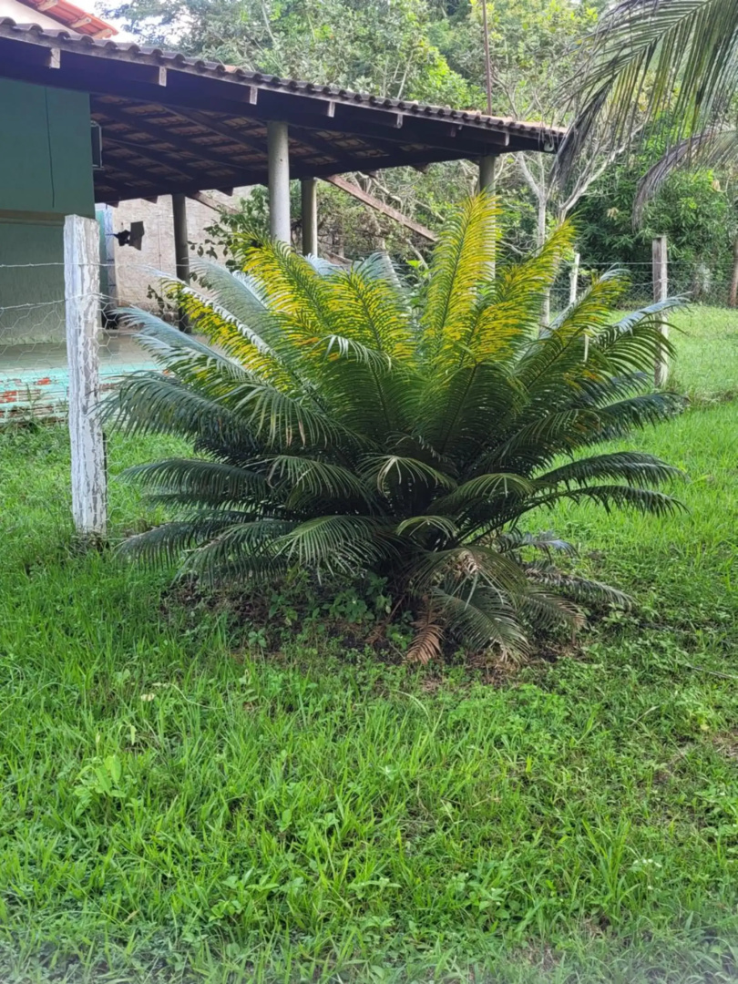 Recanto Do Sabiá