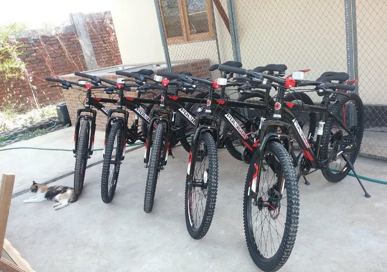 Batu Ampar Menjangan