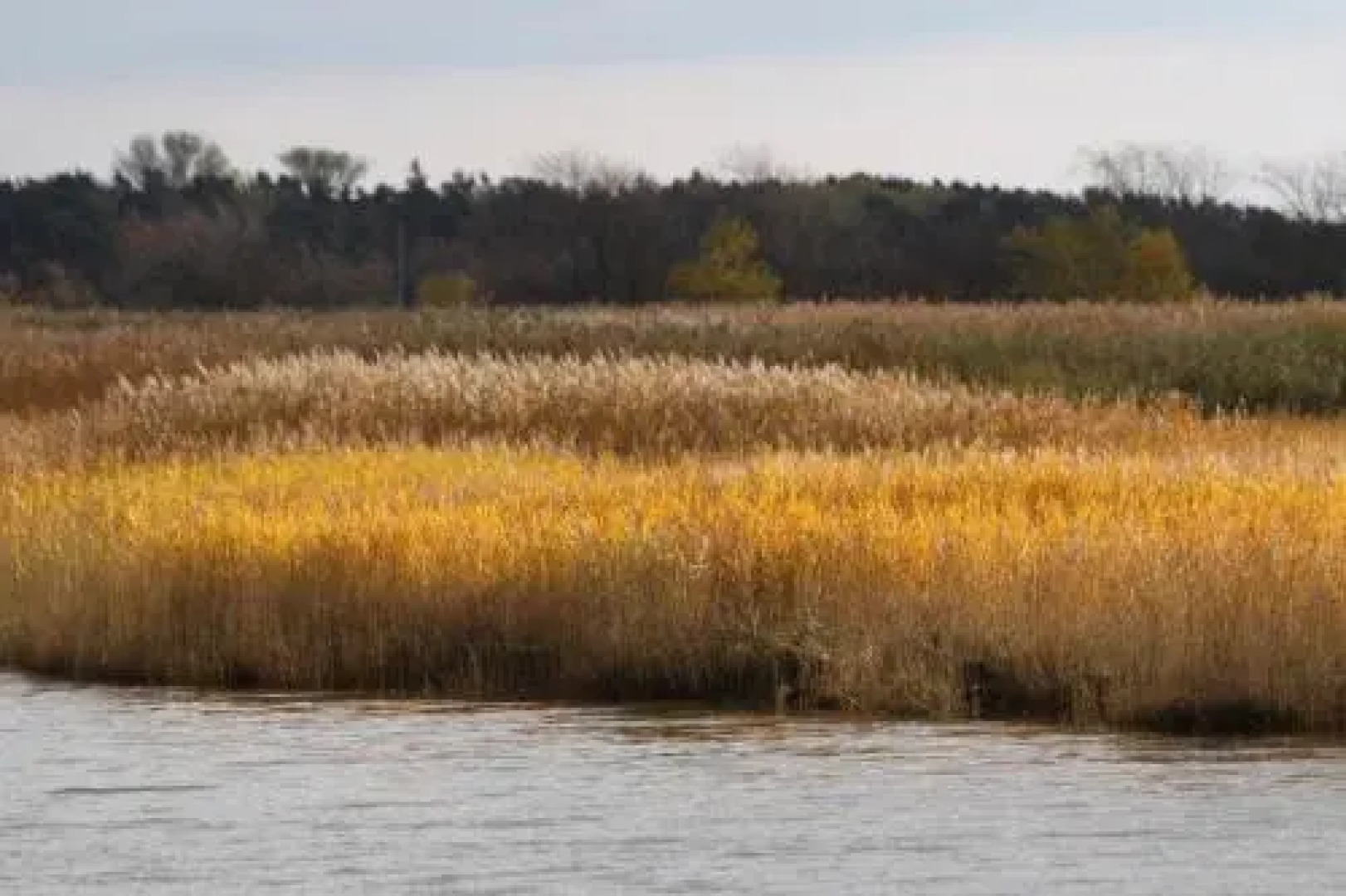 Am Trommelplatz - Wolke 7 - [#66230]