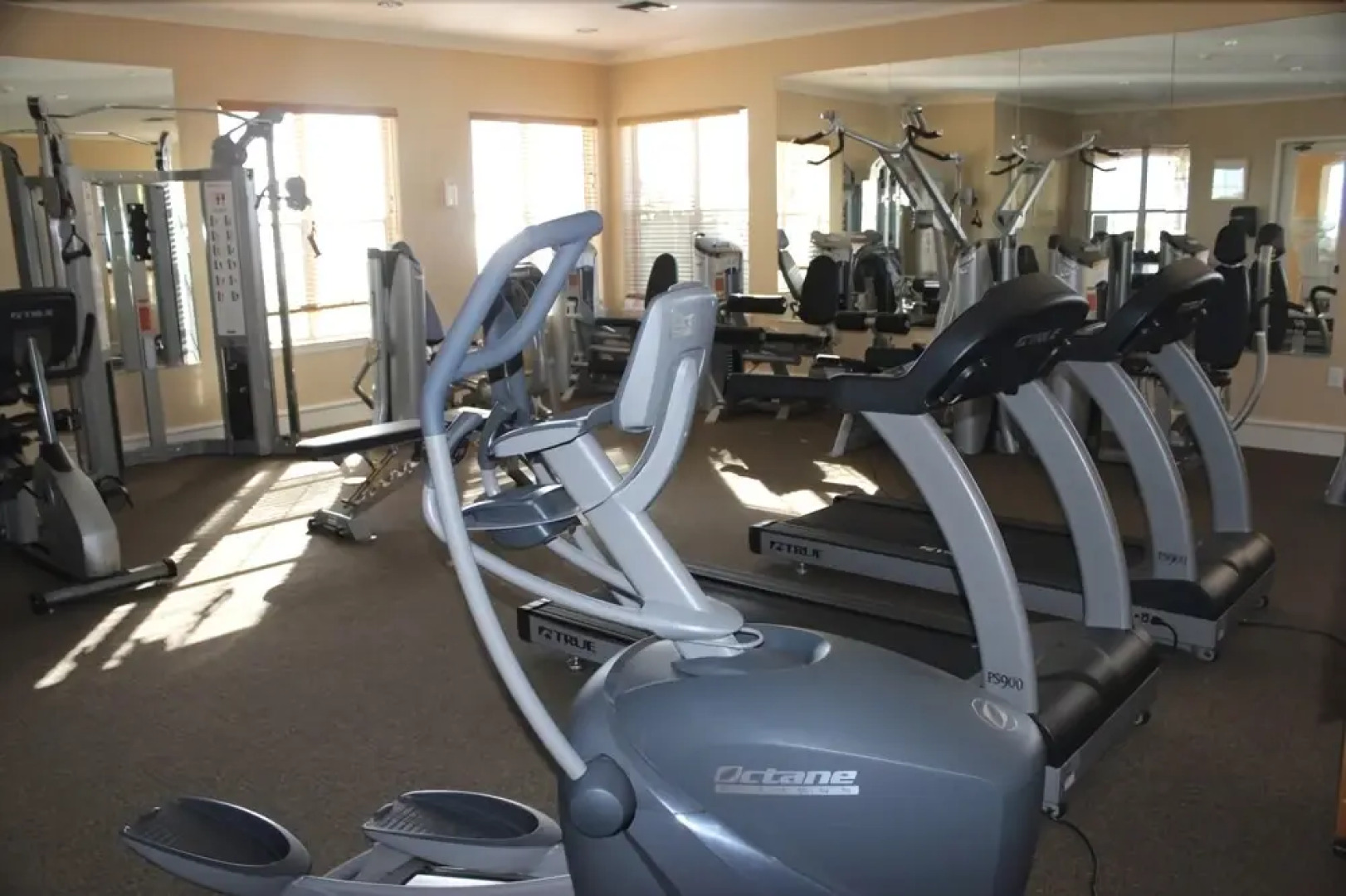 Coquille at Martinique on the Gulf by RedAwning