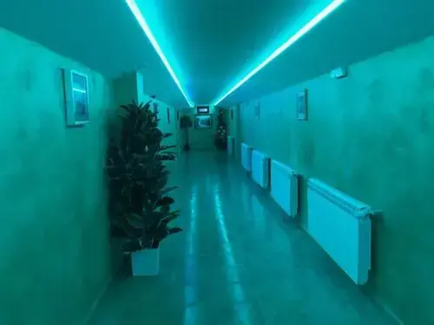 Hotel Casa Volley